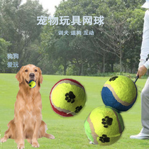 Pooch Toy Balls Golden Woolen Teddy Toy Ball Bite Grindle Tennis Pet Puppies Labrador Puppy Toy