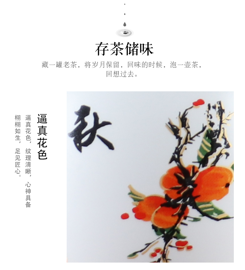 Spring, summer, autumn and winter home seal tea pot ceramic tea boxes portable storage of individual character vogue pot pu 'er tea