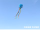 Weifang kite new children's kite soft octopus kite octopus skeletonless cartoon kite breeze easy to fly