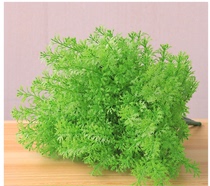 Simulation of large vanilla false green plant plastic water grass background plant wall matching material simulation moss plant