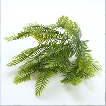High Emulation Fern Plant Green Planting Wall Decoration Matching Material Wedding Celebration Cloth View Fake Flowers Plastic Persian Grass Platoon Grass