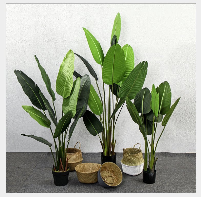 Nordic style Brigade Banana Tortoise Back Fig Leaf Banyan Emulation Plant Large Green Planting Potted room floor interiors