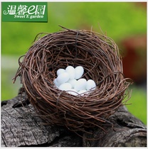 Vine Choreography Bird Nest Egg Pendulum Moss Micro Landscape Pendulum tree DIY Material Decorative Framing Simulation Seven Colorful Birds