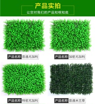 Simulation plant wall background wall encryption eucalyptus plastic lawn door head decoration simulation green plant turf