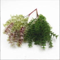 Simulation plant green planting green moss lawn plant wall decoration fit grass soft glue grass fern grass