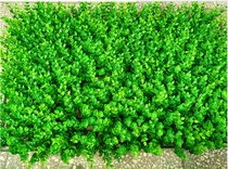 308 head simulation eucalyptus plastic lawn simulation plant wall wedding 40*60 decorative lawn props