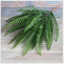 Simulation Persian leaf simulation flower simulation plant simulation plant wall Persian Fern fake flower silk Persian grass