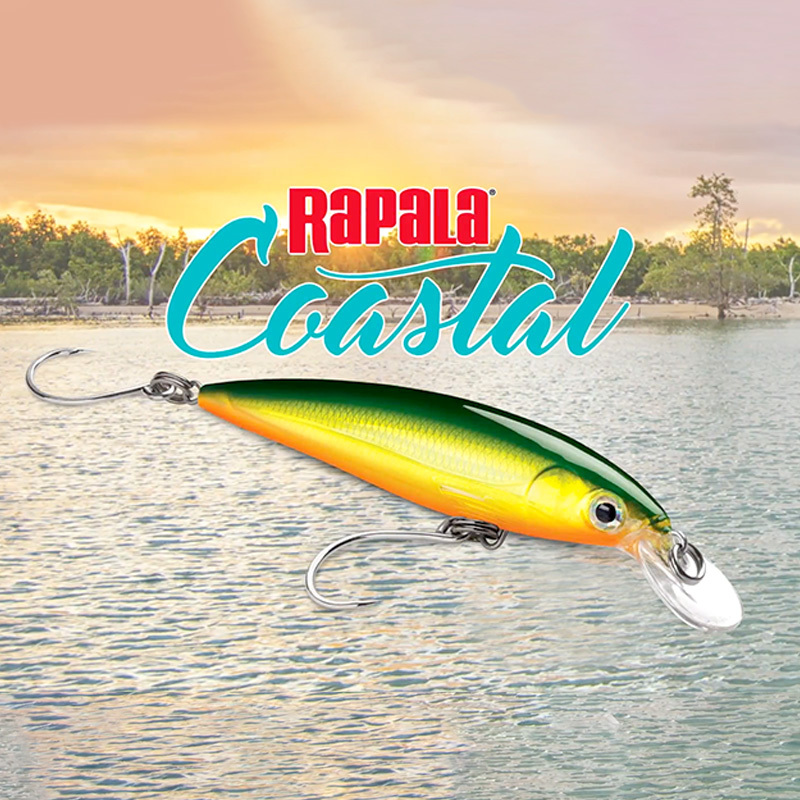 Rapala Lure [Long Casting Sinking Minnow] Imported Lure Bait for Fishing Sea Bass and Mackerel