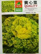 Yellow Heart Cabbage Seed Autumn Sowing Large Fields High Yield Vegetable Greens Vegetables Green Vegetables and Disease-resistant Autumn Vegetable Seeds