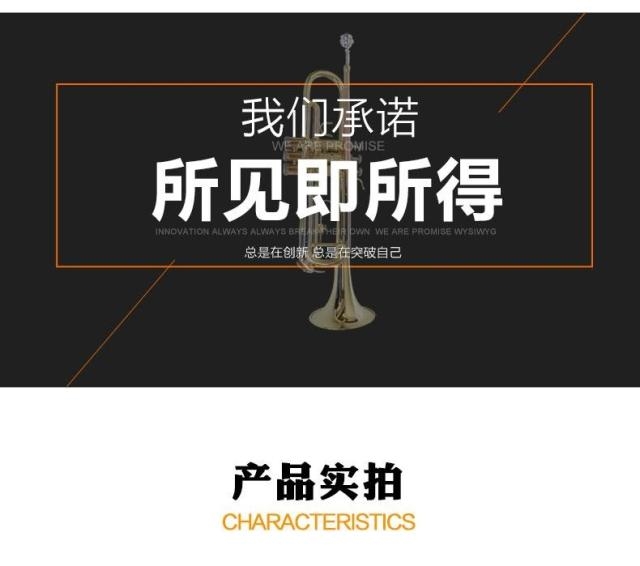 FANISIC kèn chuyên nghiệp bay Niske kèn nhạc cụ B chuyên nghiệp B chính hãng bảo hành trọn đời ba màu - Nhạc cụ phương Tây trống