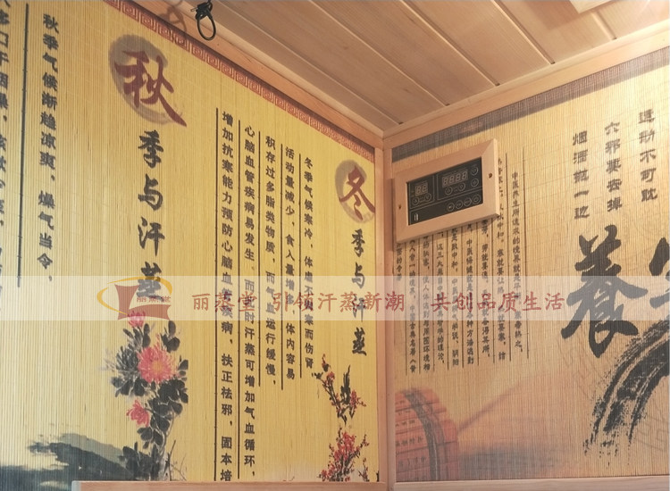 паровая сауна 丽蒸堂汗蒸房家用双人电气石纳米远红外线光波房桑拿浴箱排毒理疗 49482810