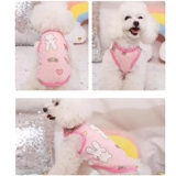 Домашние щенки и кошки в летнем солнце защита от солнца и выпадение волос.