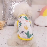 Домашние щенки и кошки в летнем солнце защита от солнца и выпадение волос.