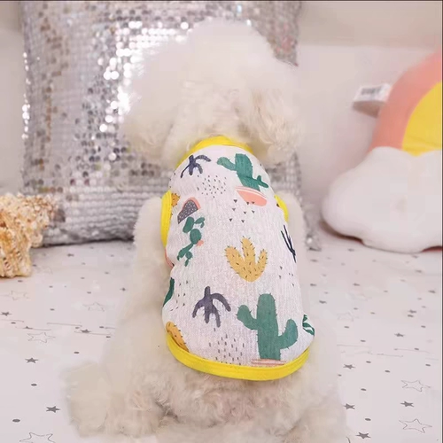 Домашние щенки и кошки в летнем солнце защита от солнца и выпадение волос.