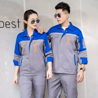 Лысые голубое плеч