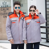 Серые боевые апельсиновые оборудование (разборка внутренней орхидеи)