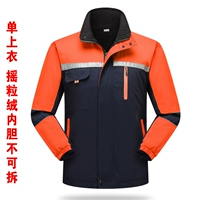 Тибетский синий с апельсиновой установкой (внутренние орхидеи встряхнули внутренние орхидеи)