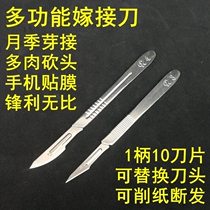Multifunctional gardening grafting knife fleshy head mobile phone film Rose buds glutinous rice paper grafting belt