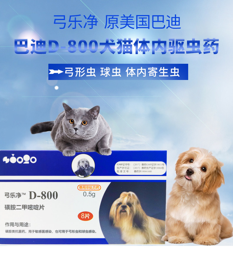 Buddy D-800 removes worms in dogs and cats 1 box 8 Toxoplasma gondii D800 coccidia parasites
