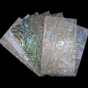 Jiasheng Drawing Sets Paint Drawing Sets Material Pure Natural Shell Patch Abalone Shell Nut Nail Beauty Shell Patch She