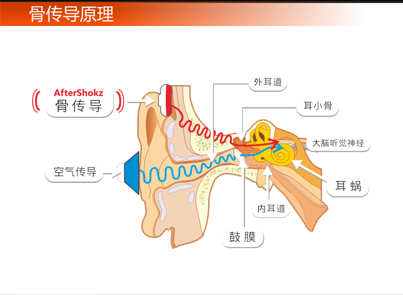 AfterShokzAS500骨传导耳机