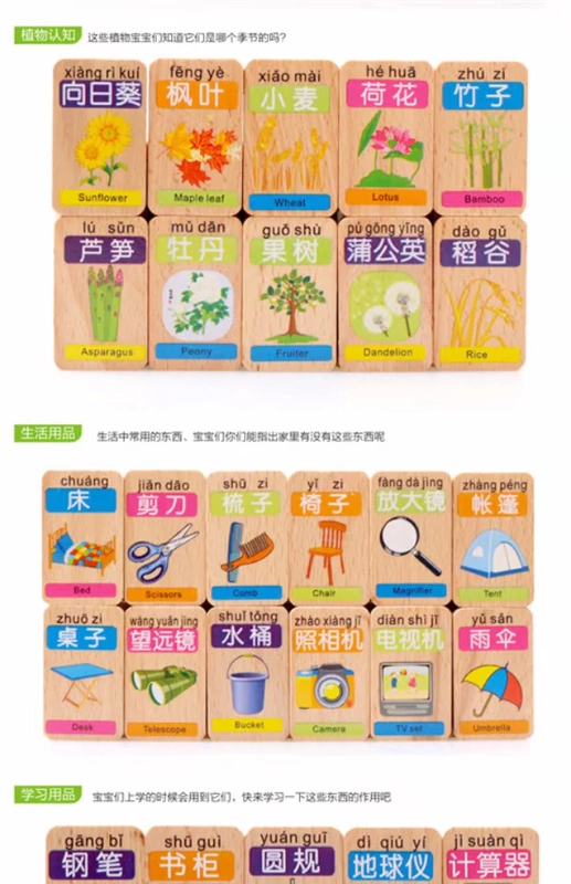 Khối xây dựng bằng gỗ hai mặt, chữ Hán, domino, giáo dục mầm non, đồ chơi giáo dục, 2345 tuổi, biết đọc biết viết bộ domino quốc kì