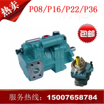 Taiwan Xuhong P08 P16 P22 P36 P46 P70-A1 A2 A3 A4-F-R-01 Piston pump