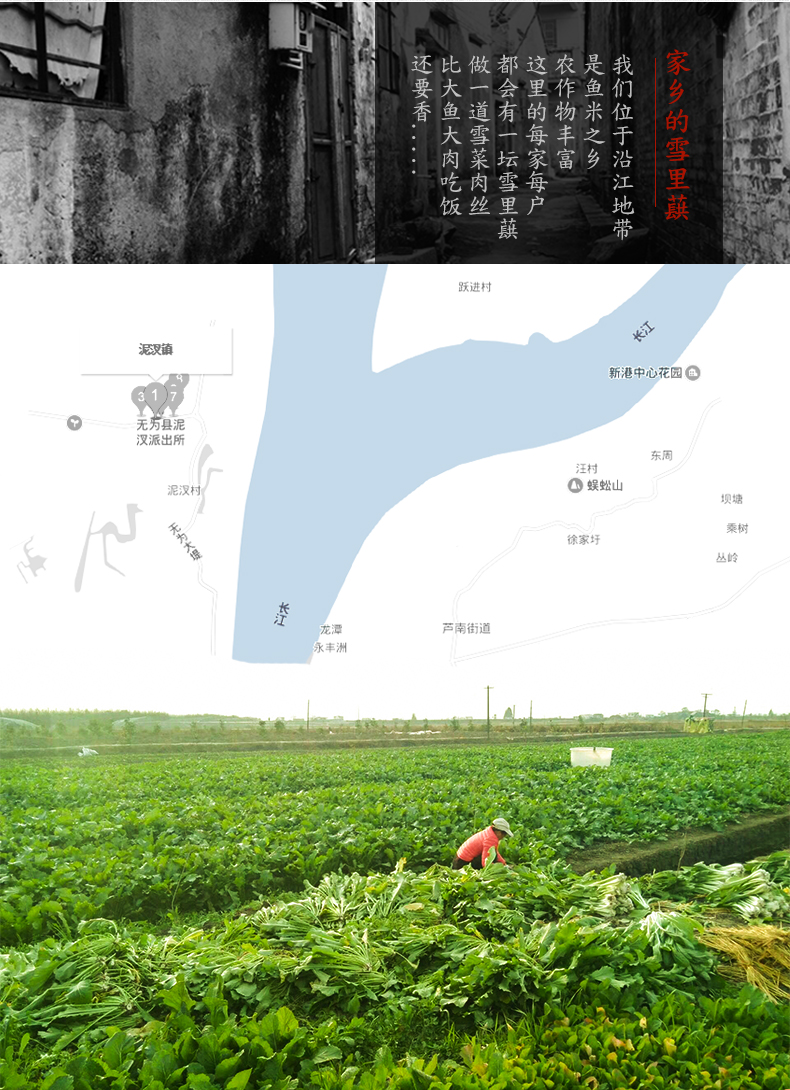 渡江宴雪菜肉丝酱拌饭酱瓶装