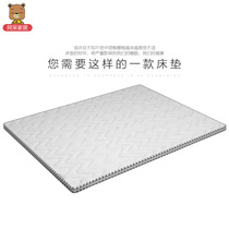 Children natural eco-friendly coconut palm cushion primary-secondary mattress with 1 2 double bed 1 5 m bed upper and lower bed custom no glue