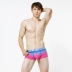 AL203 Quần lót nam Boxer Quần U Thiết kế lồi Bông Thấp Eo Quần Boxer Quần thoải mái Đồ lót thoáng khí Sexy - Giống cái Giống cái