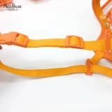 Японские кусочки апельсиновой собаки, собаки, анти -бейт, укусить, есть собачья маска для любимой собаки, маленькая собака