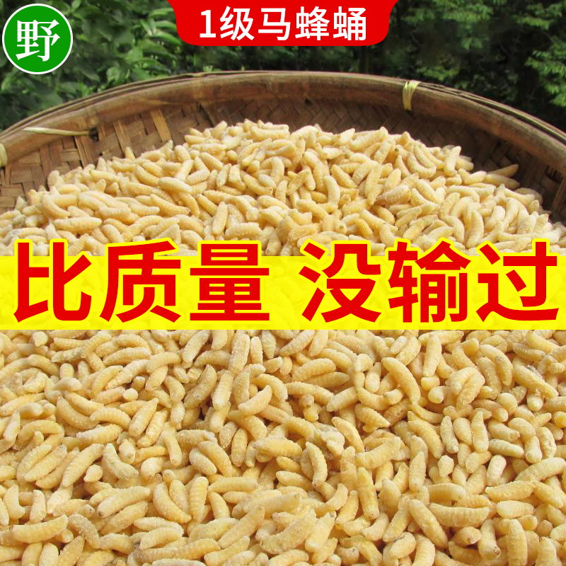 Bee pupae first grade fresh horse bee pupae fresh frozen wasp worm gourd bee wasp wild 500g