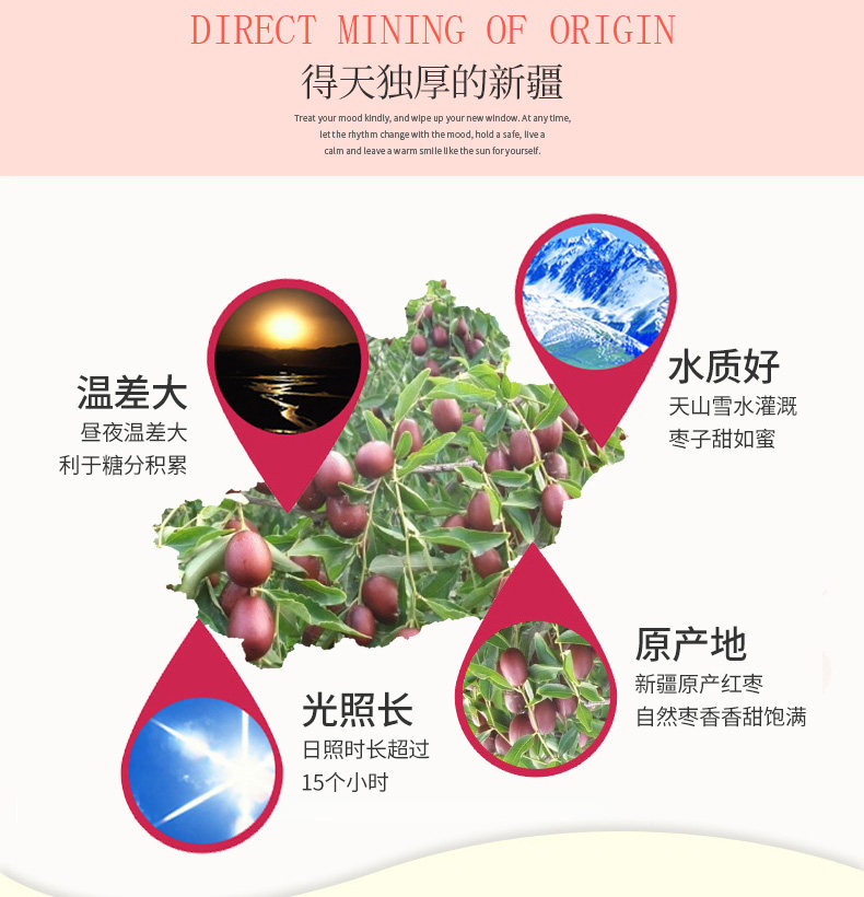 一果倾城 新疆免洗若羌红枣 500g 肉厚核小 甜度高 图2
