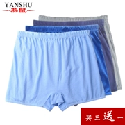 Lỏng trung niên bông boyshort người đàn ông cộng với phân bón xl cao eo bông chất béo đồ lót nam võ sĩ quyền anh