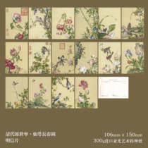 2024 Castigliones set of sixteen postcards painting Immortal Calyx and Changchun 358