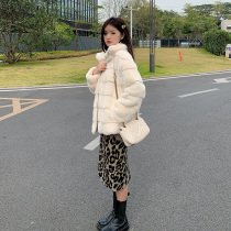New imitation fur coat women Danish mink velvet young thick short lamb fur one coat warm