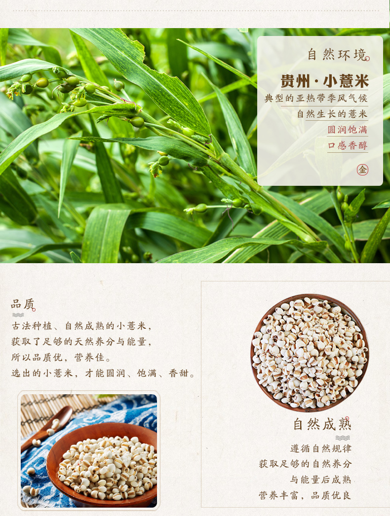 【老金磨方】代餐红豆薏仁枸粉粉