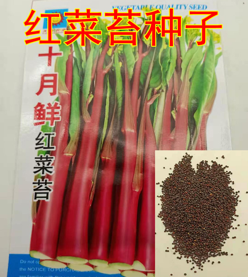 Red Vegetable Bollards Seeds Vegetable Seed Vegetable Seed Yard of Rapeseed Courtyard Balcony Potted Plant Planted in Big Four Seasons Planting Easy to grow