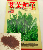  Shepherds purse seeds Natural wild shepherds purse seeds Rapeseed seeds Vegetable seeds Courtyard balcony potted field