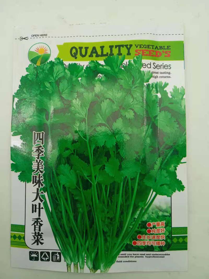 Fragrant Vegetable Seeds All Season Delicious Large Leaf Parsley Seed Rape Seed Rape Vegetable Seed Courtyard Balcony Potted Large Fields