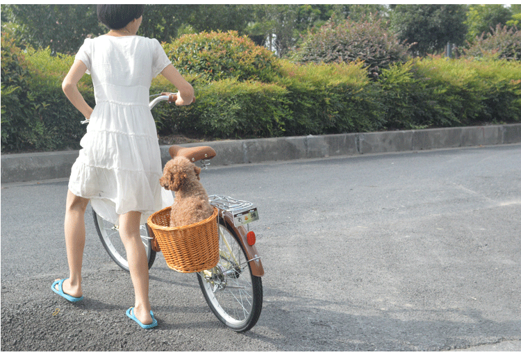 Panier pour vélo FLYING PIGEON en vigne - Ref 2257946 Image 13