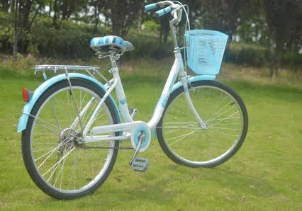 Panier pour vélo FLYING PIGEON - Ref 2257858 Image 17