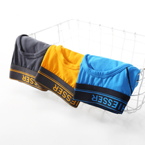 Schiesser Shuya Germany pure cotton underwear mens briefs mid-waist sports short 2056S 2 pieces