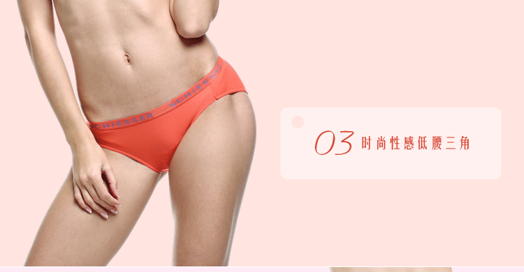 Slip SCHIESSER 20-2325S en coton - Ref 645740 Image 19