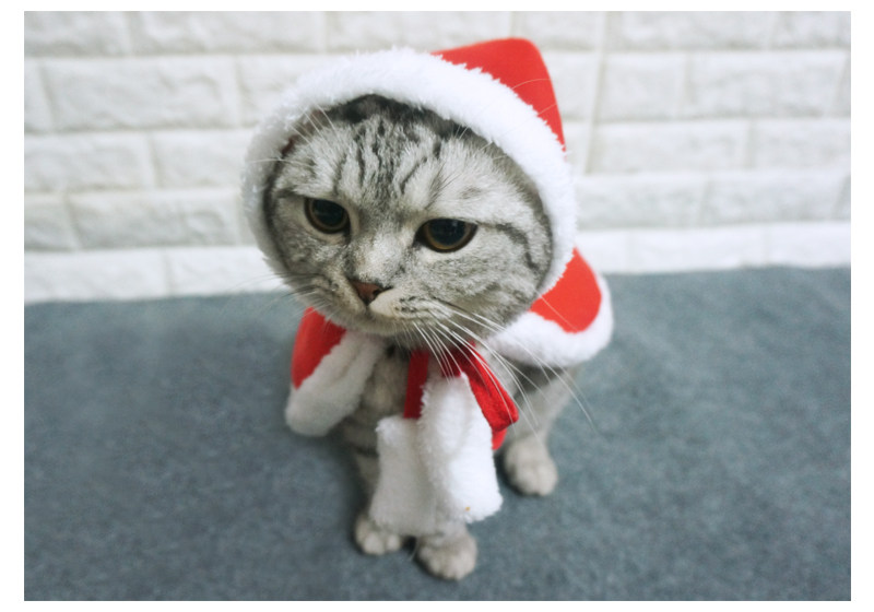 67g Weight Costume Props Event & Party Supplies Pet Clothing Type Of Pet Supplies 1 Piece Quantity Daily Occasion Flannel Material Christmas Festival Color Block Pattern Winter Season Simple Style Style Simple Style Flannel Christmas Color Block Pet Clothing 1 Piece 2