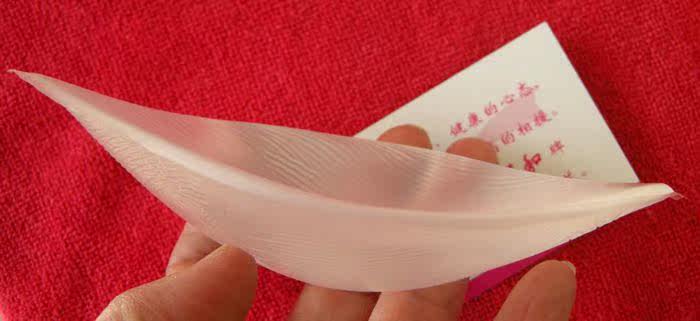 Coques pour soutien-gorge - Ref 817723 Image 28