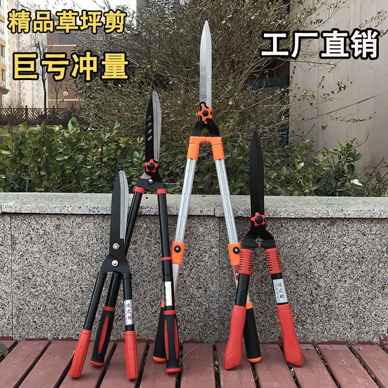Fields Garden Pruner Tools Lawn Mowing Green Hedge Scissors Gardening Large Scissors Trim Branches Greenery Styling Cut Flowers