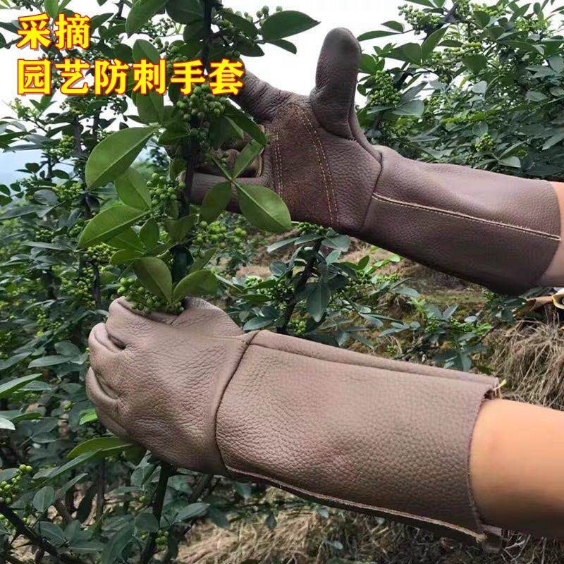 Horticultural Gloves Anti-Stab Waterproof Cow Leather Protective Anti-Stab Gloves Landscaped Garden Gardening Trims Rose Moon Season Picking prickly prickly pepper