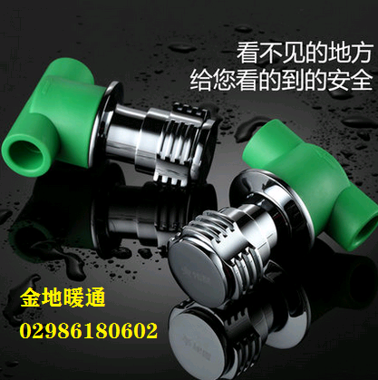 Xi'an Direct Marketing Weixing PPR 20 25 Dark Valve Ceramic Valve Core Concealed Valve Large Flow Pipe Fittings