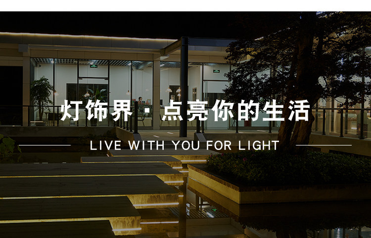 Световое украшение 太阳能灯带led彩灯条户外防水超亮氛围灯串家用庭院花园阳台布置
